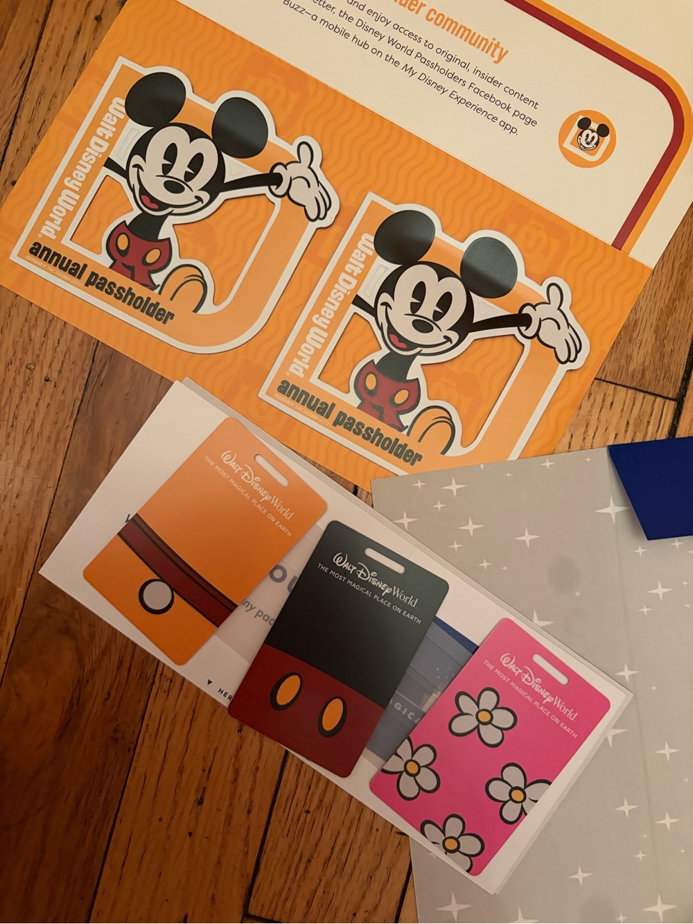 Disney annual passholder magnets and luggage tags